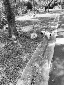 BlogStonecreature. and Elizajpg